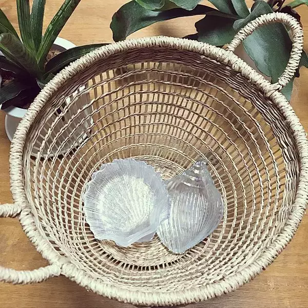 「行くたびに欲しいが見つかる！ダイソーの魅力的なお皿たち」の画像