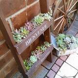 「ディスプレイや収納に！DIYで作れる自分だけのラダー」の画像6