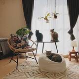 「一人暮らしの部屋に最適♡IKEAのソファ＆チェア＆スツール」の画像5