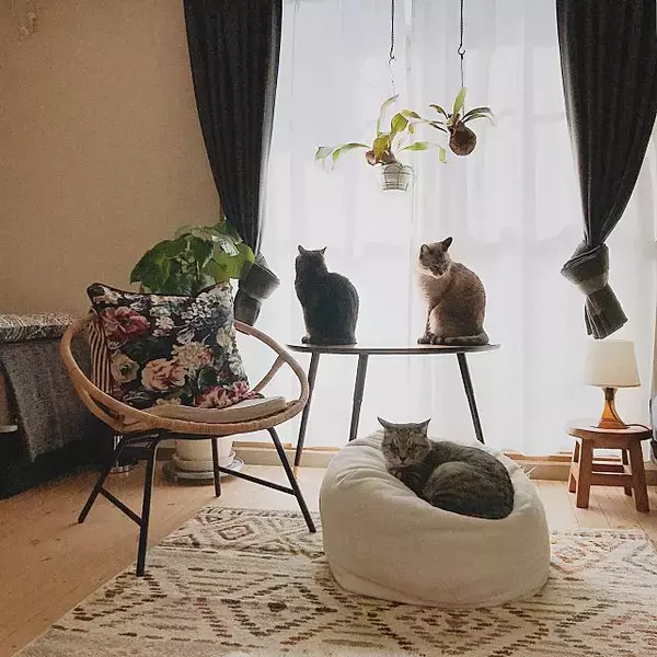 「一人暮らしの部屋に最適♡IKEAのソファ＆チェア＆スツール」の画像