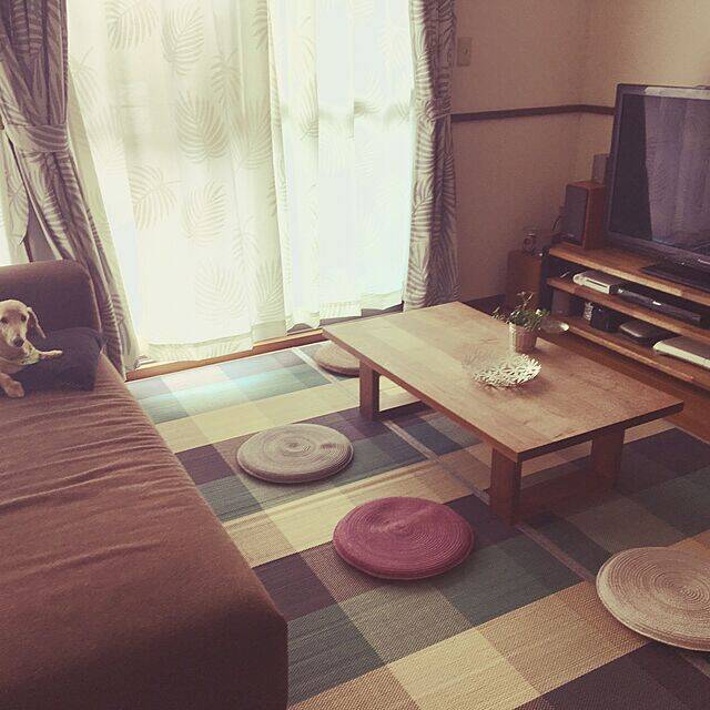 デザインも機能性も超おすすめ！ニトリの敷物がある暮らし