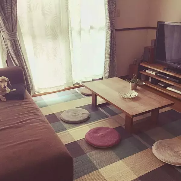 「デザインも機能性も超おすすめ！ニトリの敷物がある暮らし」の画像