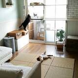 「デザインも機能性も超おすすめ！ニトリの敷物がある暮らし」の画像8