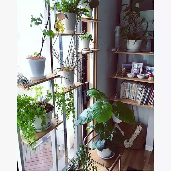 「お部屋が華やぐ♪ディアウォール・ラブリコの棚実例10選」の画像