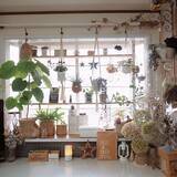 「お部屋が華やぐ♪ディアウォール・ラブリコの棚実例10選」の画像10