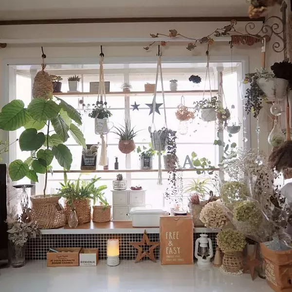 「お部屋が華やぐ♪ディアウォール・ラブリコの棚実例10選」の画像