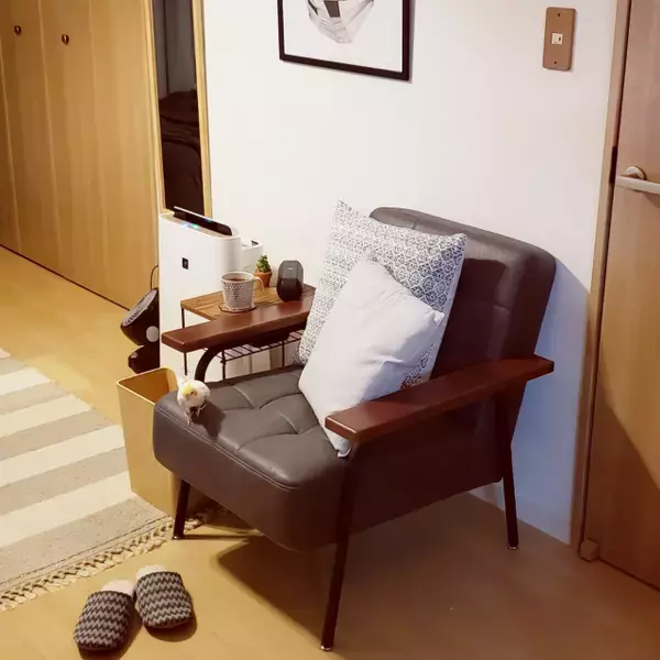 「「30ｍ2。モノトーン＆ナチュラルで統一した愛鳥と暮らす1K」 by ruchicoccoさん」の画像