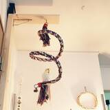 「「30ｍ2。モノトーン＆ナチュラルで統一した愛鳥と暮らす1K」 by ruchicoccoさん」の画像4