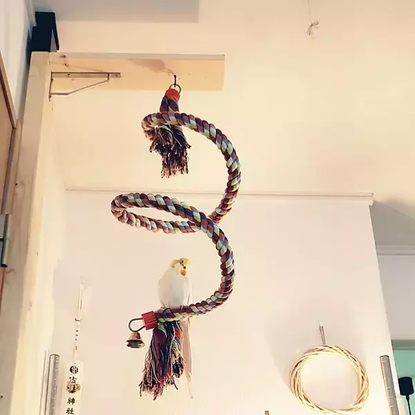 「「30ｍ2。モノトーン＆ナチュラルで統一した愛鳥と暮らす1K」 by ruchicoccoさん」の画像