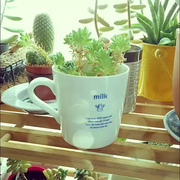 「ホッと幸せな瞬間♡毎日使いたくなるダイソーマグカップ」の画像