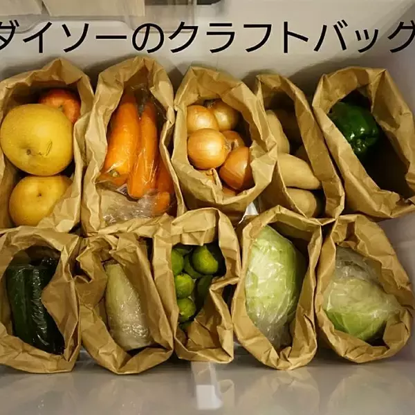 「デザインや種類が豊富で大活躍♪ダイソーの収納バッグ」の画像