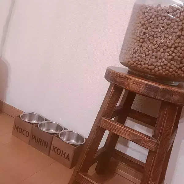 「「のせるだけでOK♪インテリアにもぴったりなフードボウル」 by mocoさん」の画像