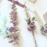 「気分はハワイアン！海を感じる小物やディスプレイ」の画像7