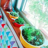 「ついつい集めたくなる♪プチプラで使いやすいセリアの食器」の画像10