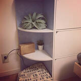 「見せても隠してもOKな収納を♪ニトリのカラーボックス」の画像9