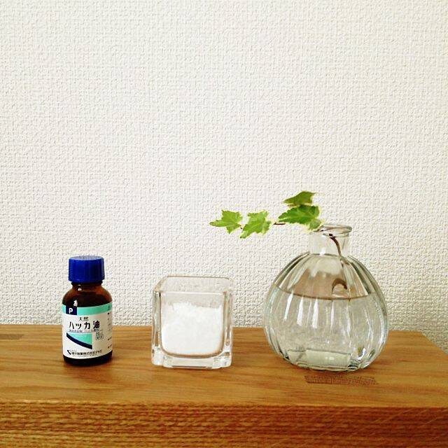 こんな使い方もおすすめ ハッカ油を活かした爽やか暮らし 19年8月1日 エキサイトニュース こんな使い方もおすすめ ハッカ油を活かした爽やか暮らし 19年8月1日 エキサイトニュース