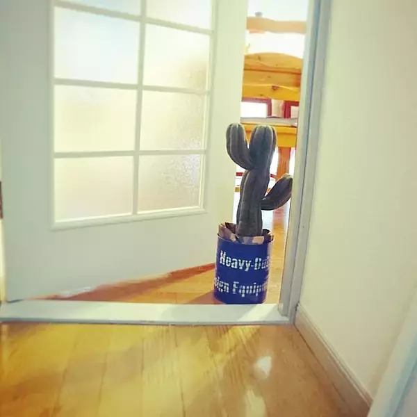「なぜか癒される♡ニトリのサボテン型ドアストッパー」の画像