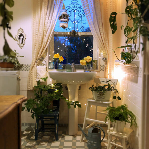 フレッシュに華やかさを演出 トイレでの観葉植物の飾り方 19年10月15日 エキサイトニュース