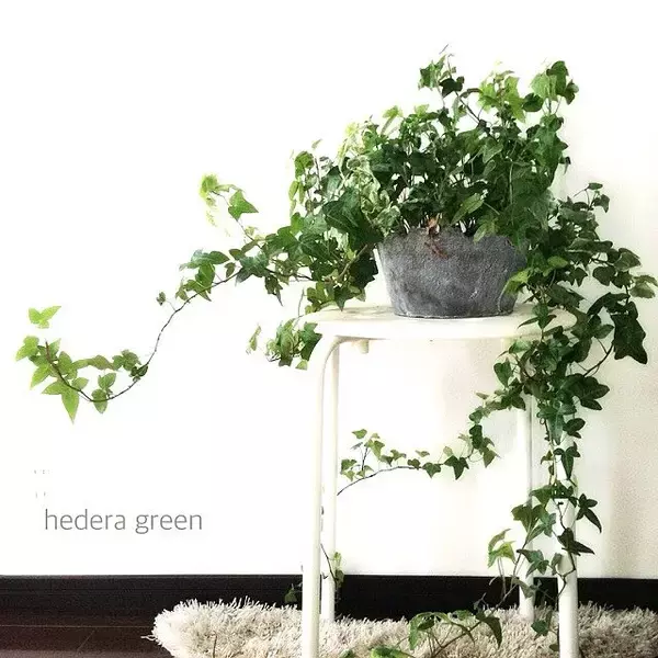 「座るだけじゃない！便利なIKEAのイス・スツール活用法」の画像