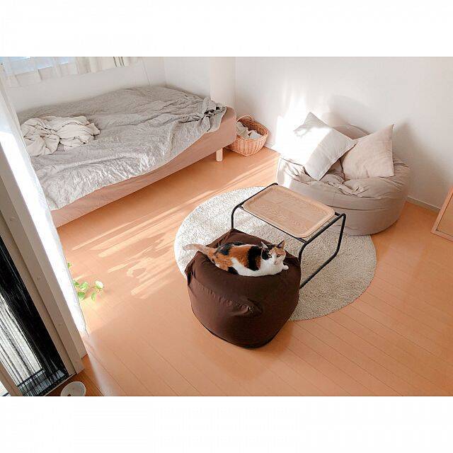 こだわり家具ゆえの魅力♪シンプルテイストのリビング