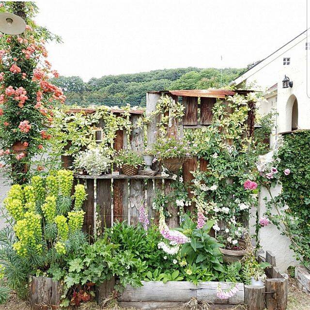 癒しの空間へようこそ ナチュラルガーデンを楽しむ暮らし 19年10月31日 エキサイトニュース 2 4