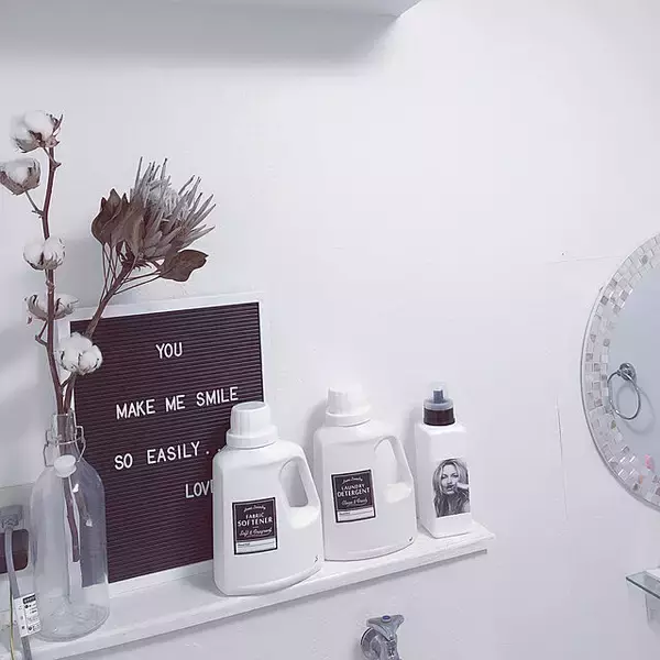 「もう散らからない！ダイソーで叶うランドリーの整理収納」の画像