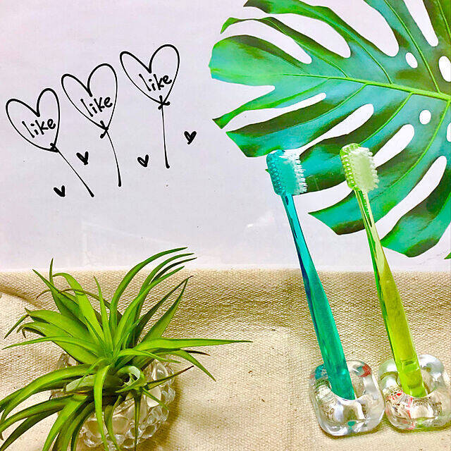 立ててスッキリ！100均のおすすめ歯ブラシスタンド10選