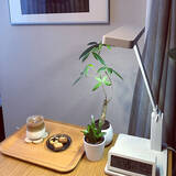 「こだわりがギュッと詰まっている♡無印良品の照明10選」の画像2