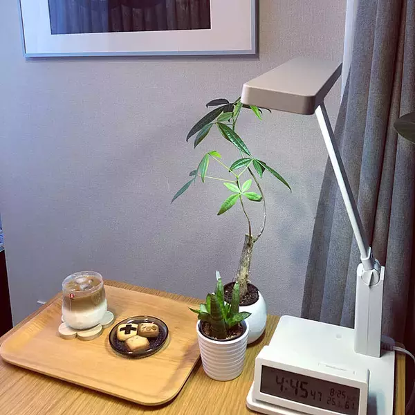 「こだわりがギュッと詰まっている♡無印良品の照明10選」の画像