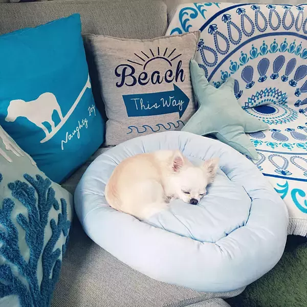 「スタイリッシュでペットも快適♡ニトリのペットベッド」の画像