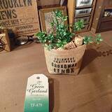 「セリアの雑貨で♡ほっと落ち着くナチュラルインテリア」の画像2