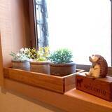 「セリアの雑貨で♡ほっと落ち着くナチュラルインテリア」の画像3