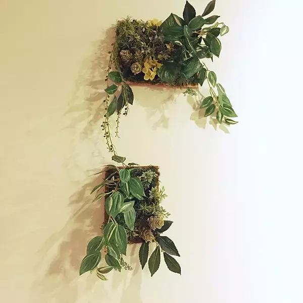 「セリアの雑貨で♡ほっと落ち着くナチュラルインテリア」の画像