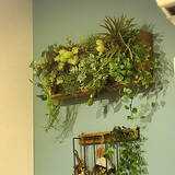 「セリアでデコる！自分らしく壁を飾るためのアイテム集」の画像7