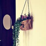 「セリアでデコる！自分らしく壁を飾るためのアイテム集」の画像5