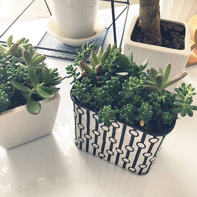 サスティナブルなインテリア♡空き缶を無駄なくリメイク