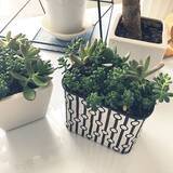 「サスティナブルなインテリア♡空き缶を無駄なくリメイク」の画像5