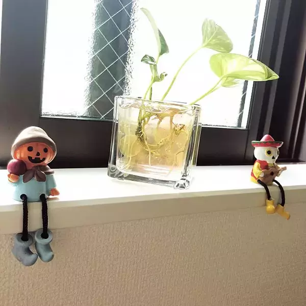 「深まる秋のお楽しみ♡狭いスペースにちょこっとハロウィン」の画像