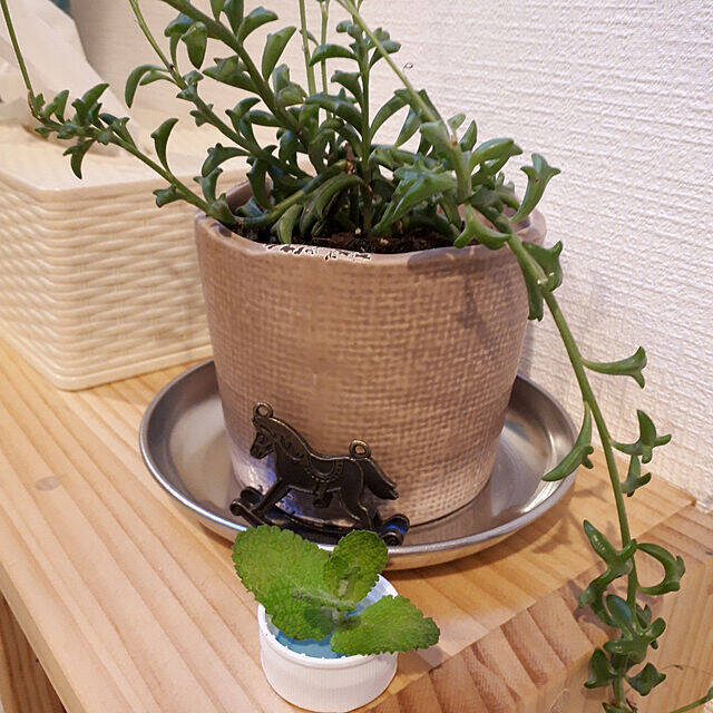 COOLでオールラウンド☆映えるセリアのステンレス食器