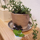 「COOLでオールラウンド☆映えるセリアのステンレス食器」の画像11