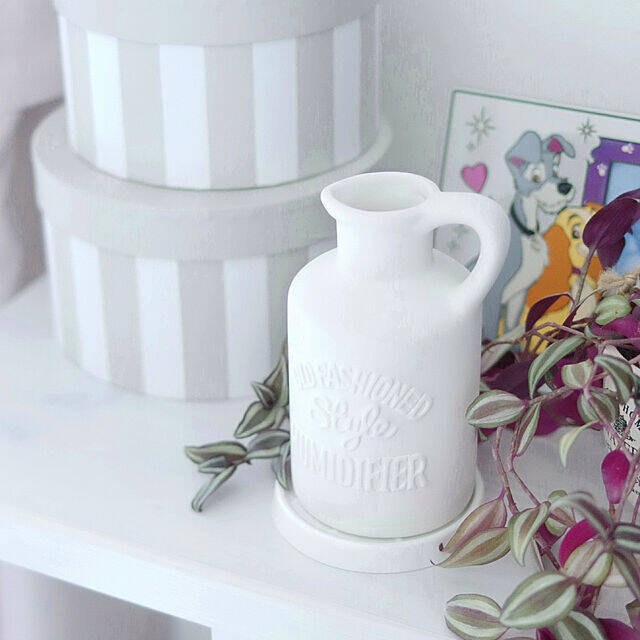 これは欲しくなる♪ニトリでおすすめの便利アイテム