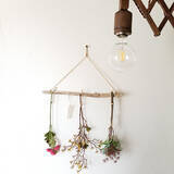 「手軽に飾って空間が華やぐ♡ダイソーのフェイクフラワー」の画像9