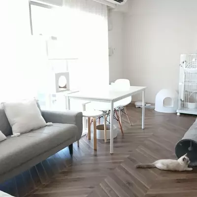 30m2 愛猫と暮らす ホワイトインテリア By Aronekoさん 18年1月10日 エキサイトニュース 30m2 愛猫と暮らす ホワイトインテリア By Aronekoさん 18年1月10日 エキサイトニュース
