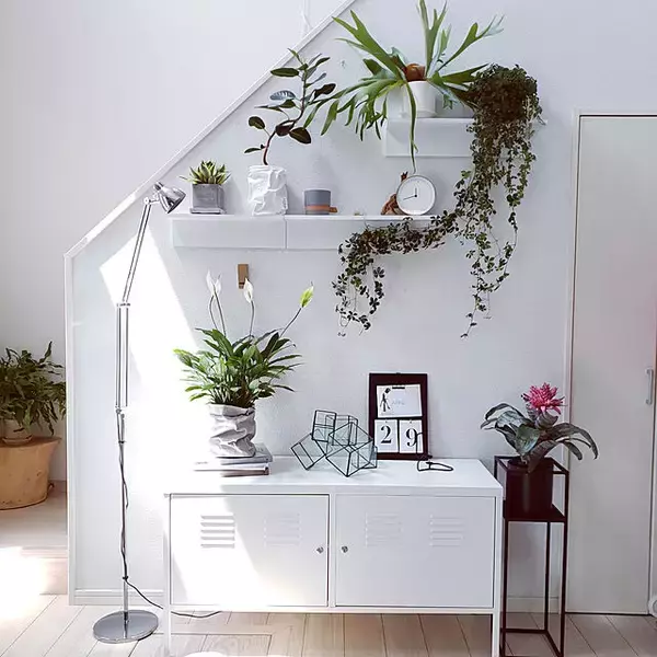 「シンプルデザインにひと目ぼれ♡IKEAの家具で洗練された空間づくり」の画像