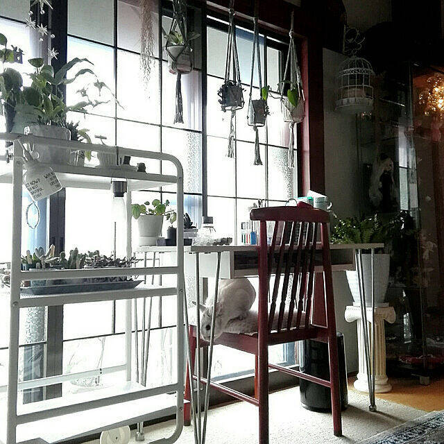 一人暮らしの住まいがより快適に♡IKEAのおすすめアイテム