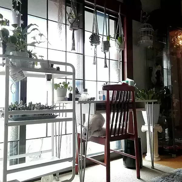 「一人暮らしの住まいがより快適に♡IKEAのおすすめアイテム」の画像