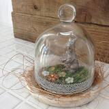 「アイテムの魅力を引き立てる♡セリアのガラスドーム」の画像6