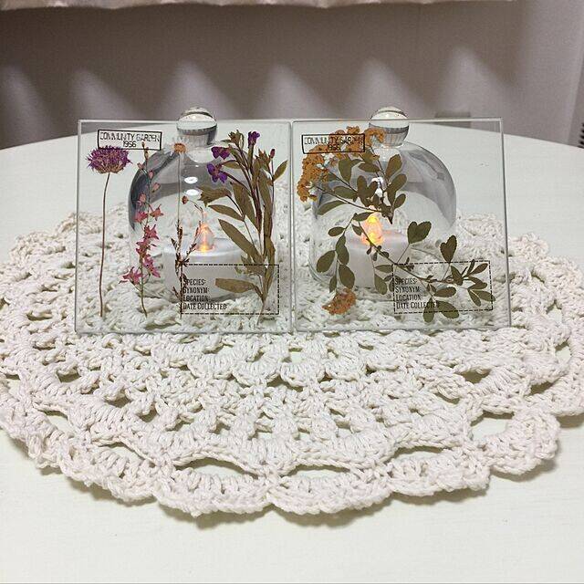 アイテムの魅力を引き立てる♡セリアのガラスドーム