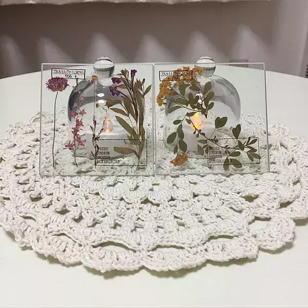 「アイテムの魅力を引き立てる♡セリアのガラスドーム」の画像