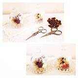 「アイテムの魅力を引き立てる♡セリアのガラスドーム」の画像3